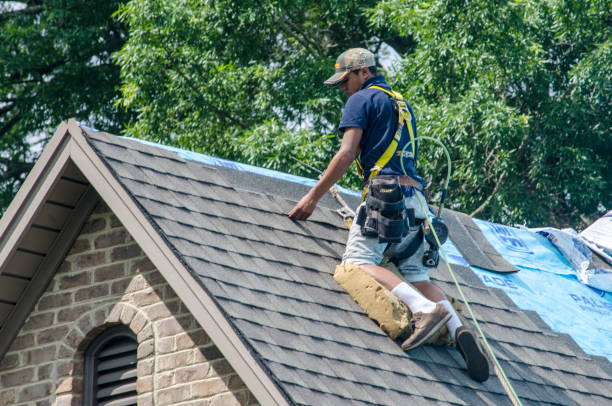 Professional Roofing Contractor in Brandenburg, KY