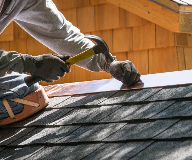 Best Roof Gutter Cleaning  in Brandenburg, KY